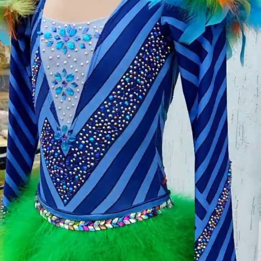 Carnaval competition dress